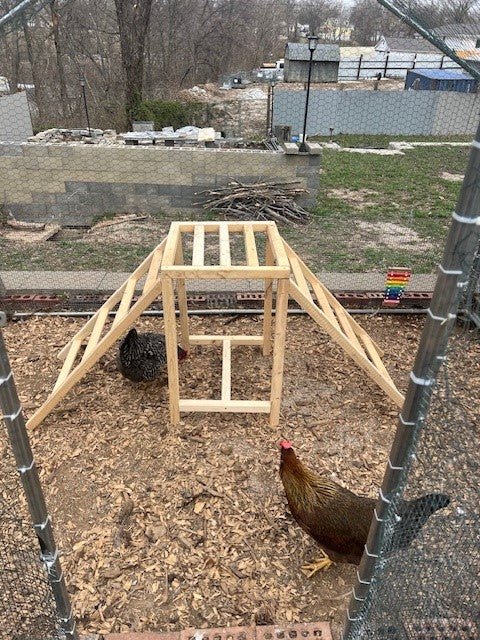 Chicken Jungle Gym - Dave Davis Woodworking