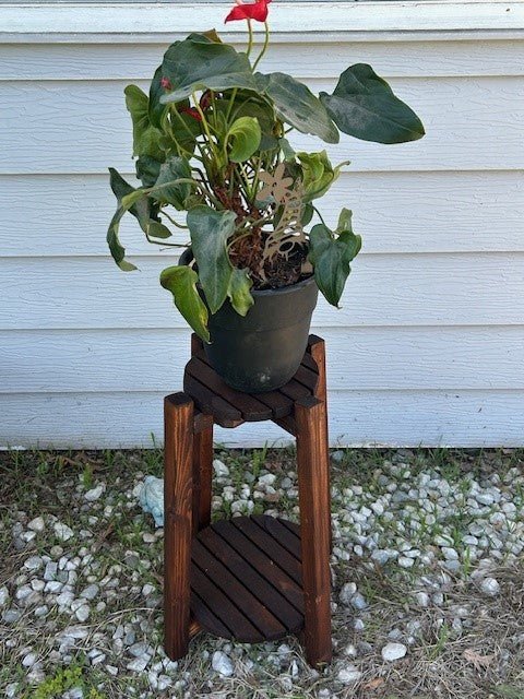 Plant Stand - 2 Tier - Cedar - Dave Davis Woodworking